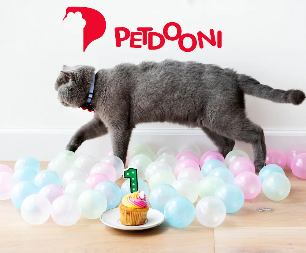 نقش عروسک بازی گربه در کاهش رفتارهای پرخاشگرانه | چگونه یک اسباب‌بازی ساده می‌تواند به مدیریت خشم و انرژی اضافه گربه کمک کند؟ | پت شاپ آنلاین پت دونی 1404